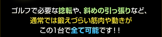 ゴルフで必要な捻転や、斜めの引っ張りなど、 通常では鍛えづらい筋肉や動きが この1台で全て可能です!!