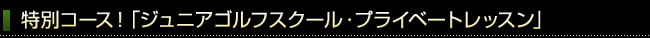 ʃR[XIuWjAStXN[EvCx[gbXv