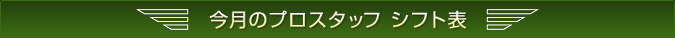 ̃vX^bt Vtg\